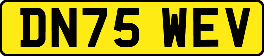 DN75WEV
