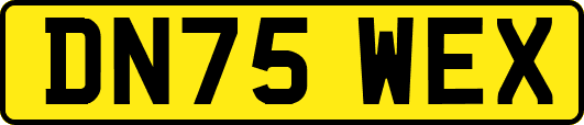 DN75WEX