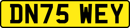 DN75WEY