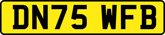 DN75WFB