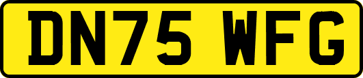 DN75WFG