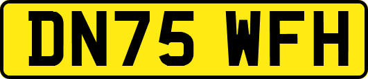 DN75WFH