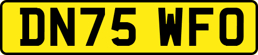 DN75WFO