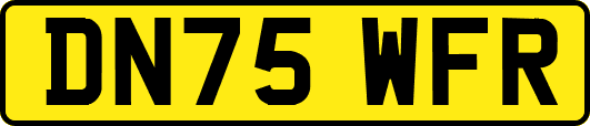 DN75WFR