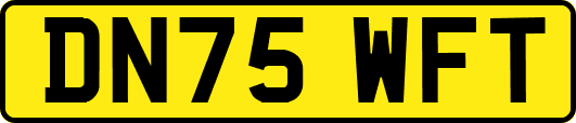 DN75WFT
