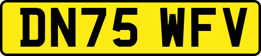 DN75WFV