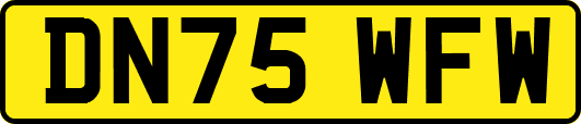 DN75WFW