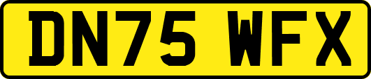 DN75WFX