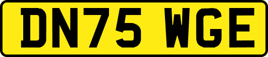 DN75WGE