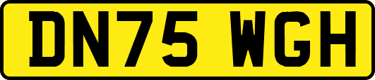 DN75WGH