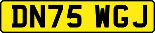 DN75WGJ