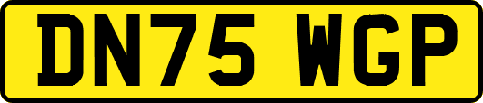 DN75WGP
