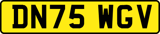 DN75WGV