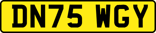 DN75WGY
