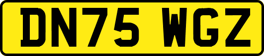 DN75WGZ