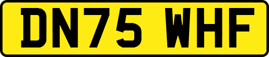 DN75WHF