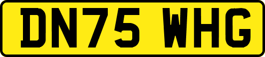 DN75WHG
