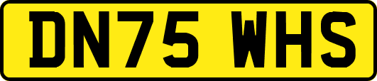 DN75WHS