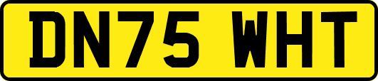 DN75WHT