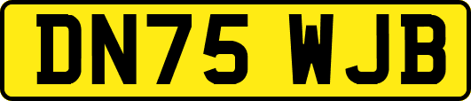 DN75WJB
