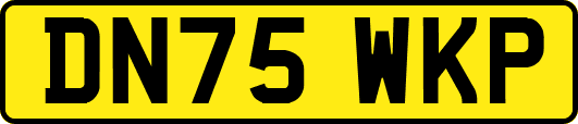 DN75WKP