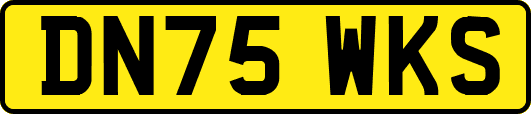 DN75WKS