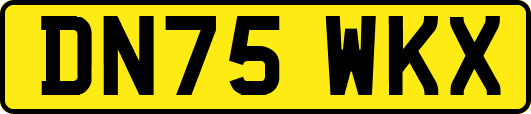 DN75WKX