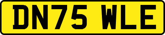 DN75WLE