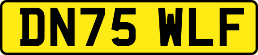 DN75WLF