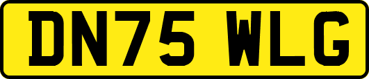 DN75WLG