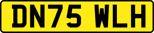 DN75WLH