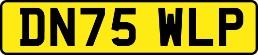 DN75WLP