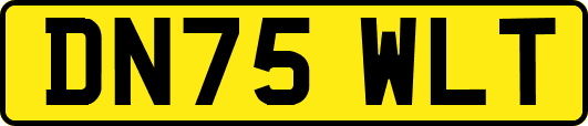 DN75WLT
