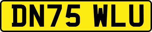 DN75WLU