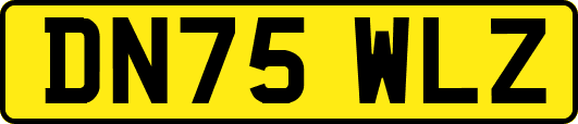 DN75WLZ