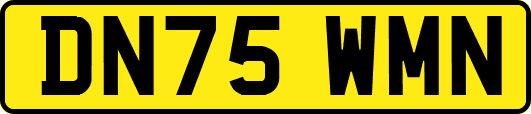 DN75WMN