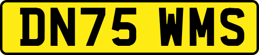 DN75WMS