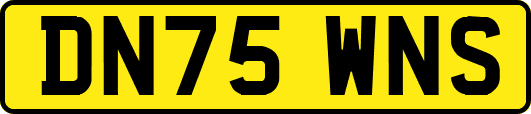 DN75WNS