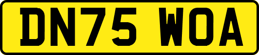 DN75WOA
