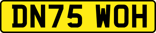 DN75WOH