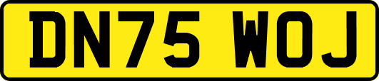 DN75WOJ