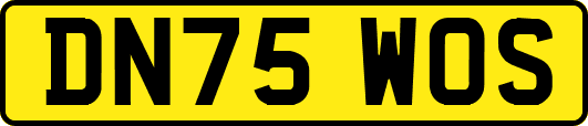 DN75WOS