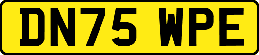 DN75WPE