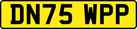 DN75WPP