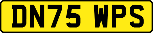 DN75WPS