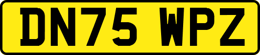 DN75WPZ