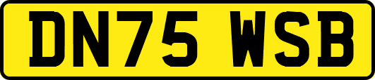 DN75WSB