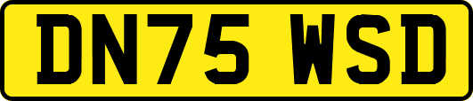 DN75WSD
