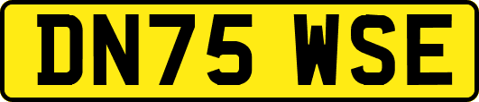 DN75WSE