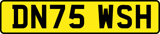 DN75WSH